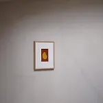 Ame 호텔 4*